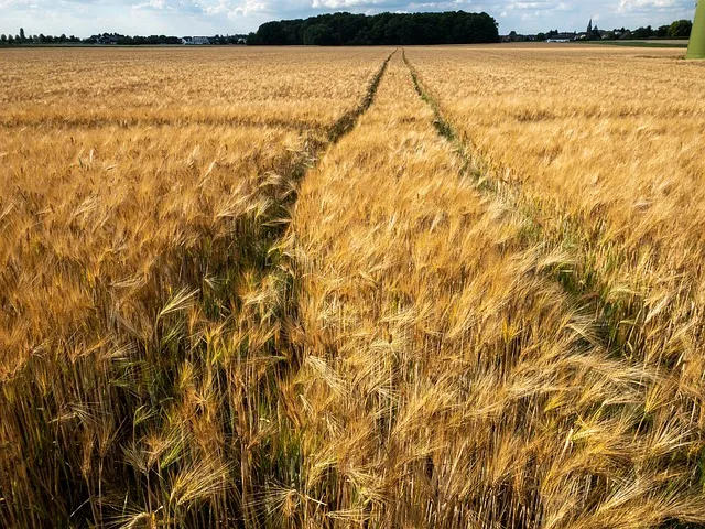 Części do traktorów oraz maszyn rolniczych - zakupy ze znakiem jakości